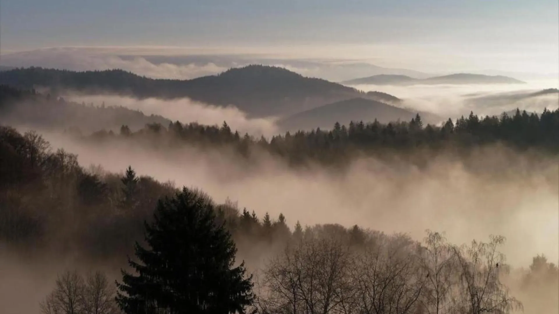 Apartment Sandra In The Bavarian Forest With Pool Freyung
