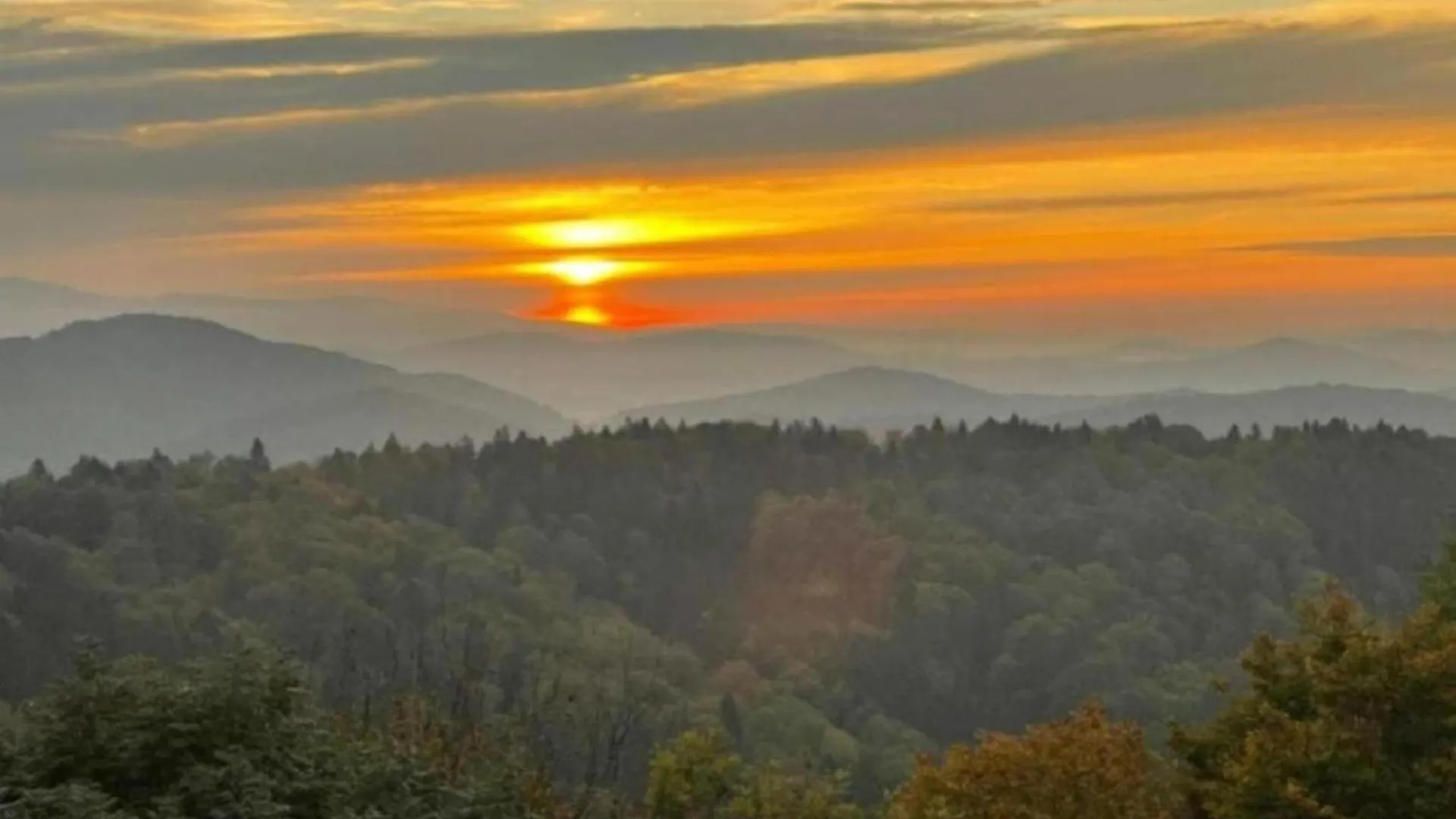 Apartment Sandra In The Bavarian Forest With Pool Freyung Germania