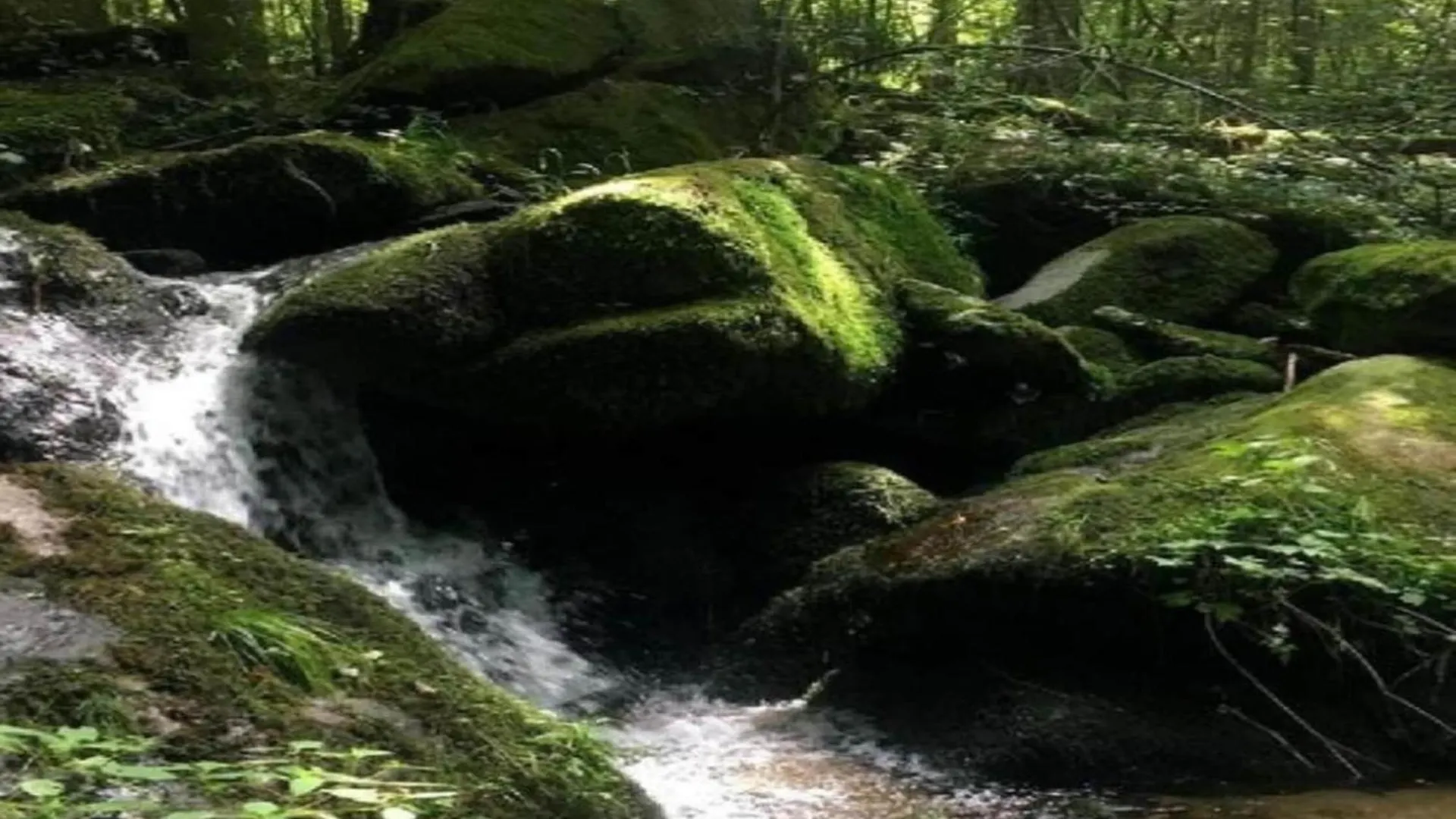 Apartment Sandra In The Bavarian Forest With Pool Freyung Germania