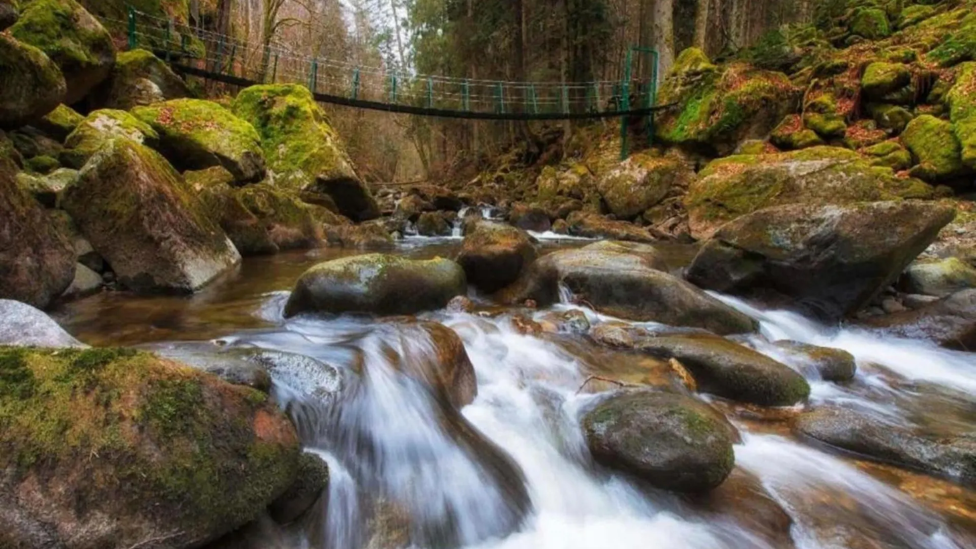 Apartment Sandra In The Bavarian Forest With Pool Freyung Germania
